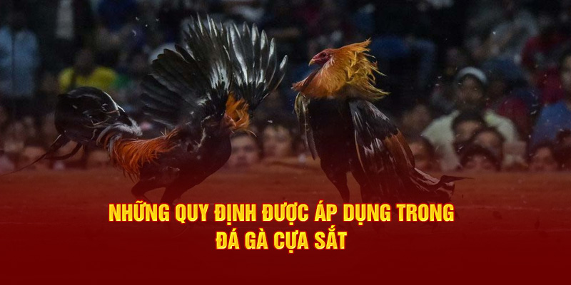 Những quy định được áp dụng trong đá gà cựa sắt