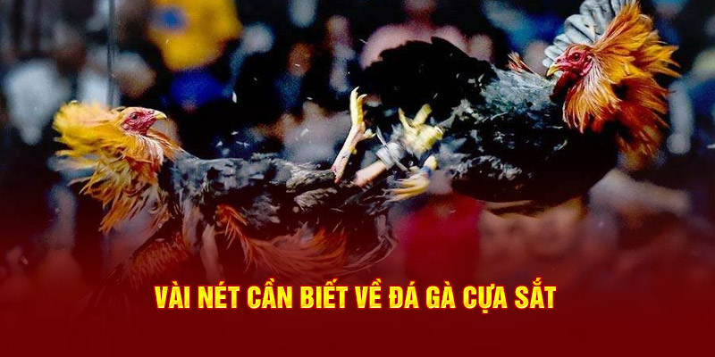 Vài nét cần biết về đá gà cựa sắt